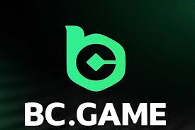 The Rise of BC.Game in Nigeria A New Era of Online Gaming 1070209565